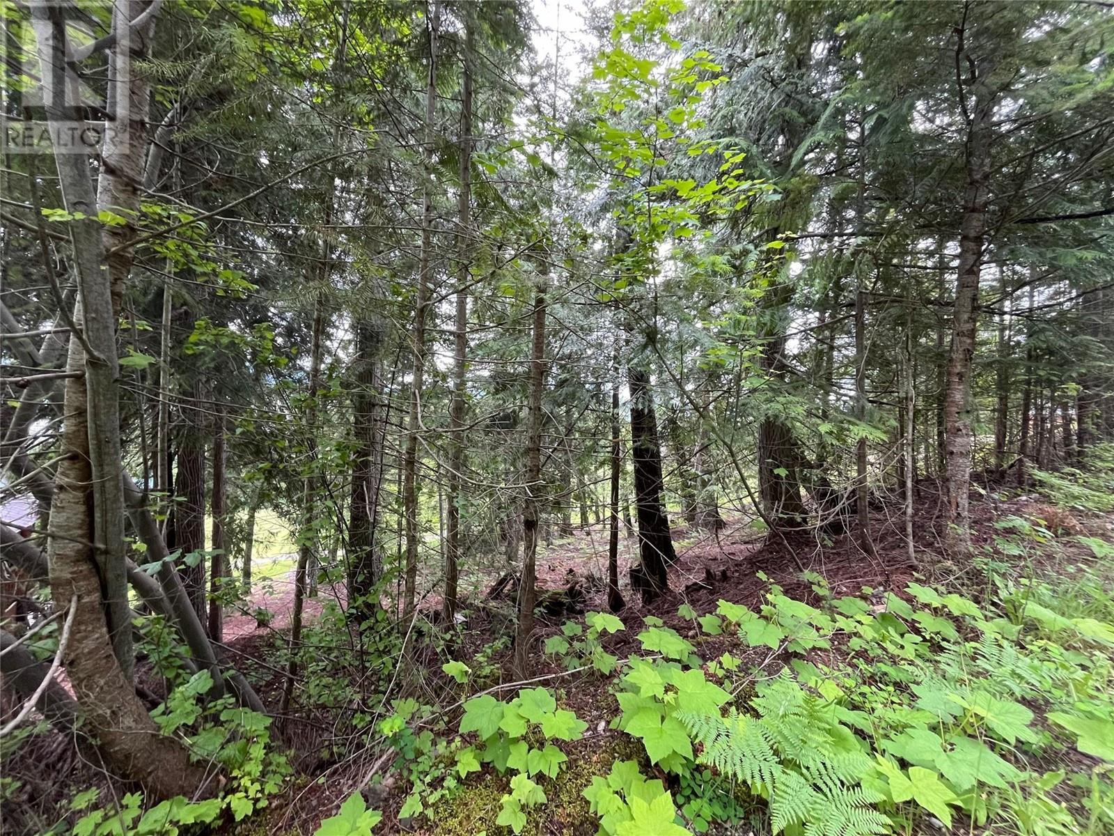 Lot 138 Columbia Drive Lot# 138, Anglemont, British Columbia  V0E 1M8 - Photo 3 - 10338061