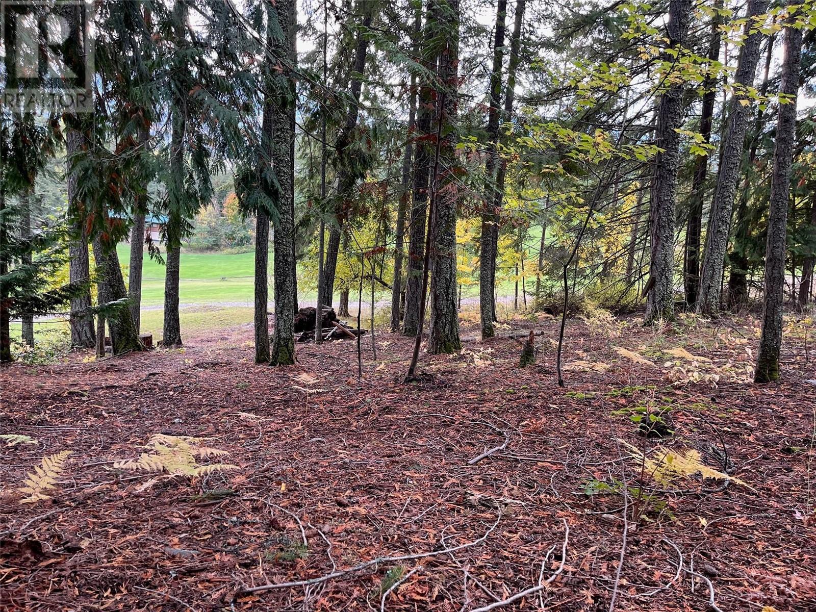 Lot 138 Columbia Drive Lot# 138, Anglemont, British Columbia  V0E 1M8 - Photo 1 - 10338061