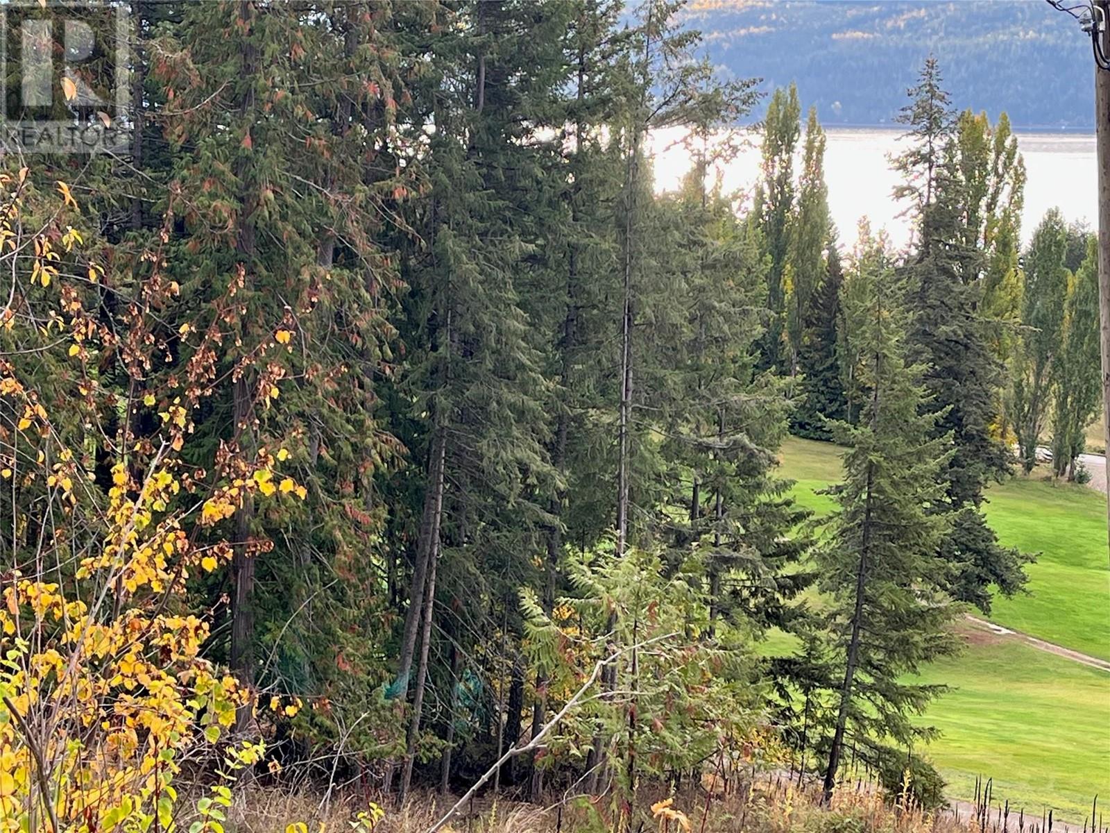 Lot 138 Columbia Drive Lot# 138, Anglemont, British Columbia  V0E 1M8 - Photo 10 - 10338061