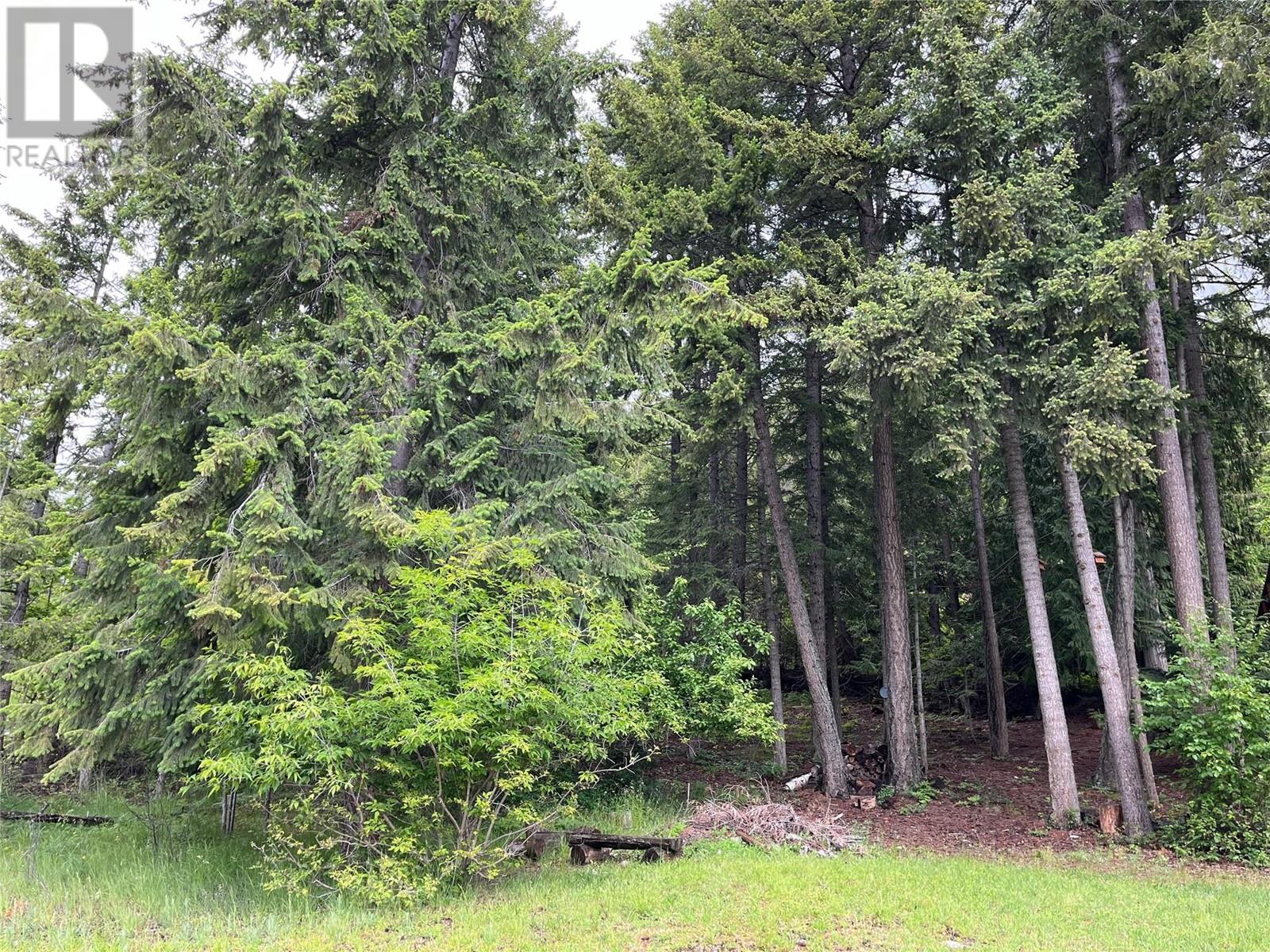 Lot 138 Columbia Drive Lot# 138, Anglemont, British Columbia  V0E 1M8 - Photo 6 - 10338061