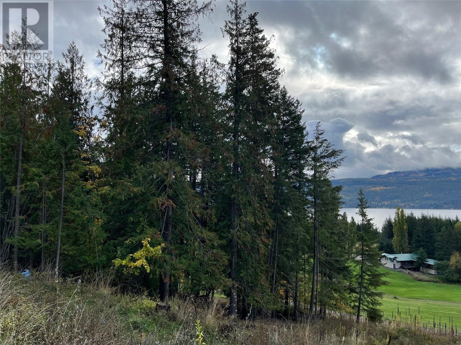 Lot 138 Columbia Drive Lot# 138, Anglemont, British Columbia  V0E 1M8 - Photo 11 - 10338061