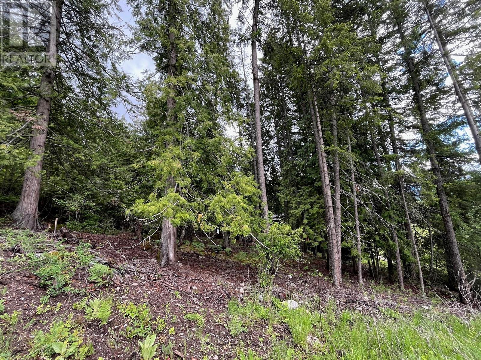 Lot 138 Columbia Drive Lot# 138, Anglemont, British Columbia  V0E 1M8 - Photo 4 - 10338061