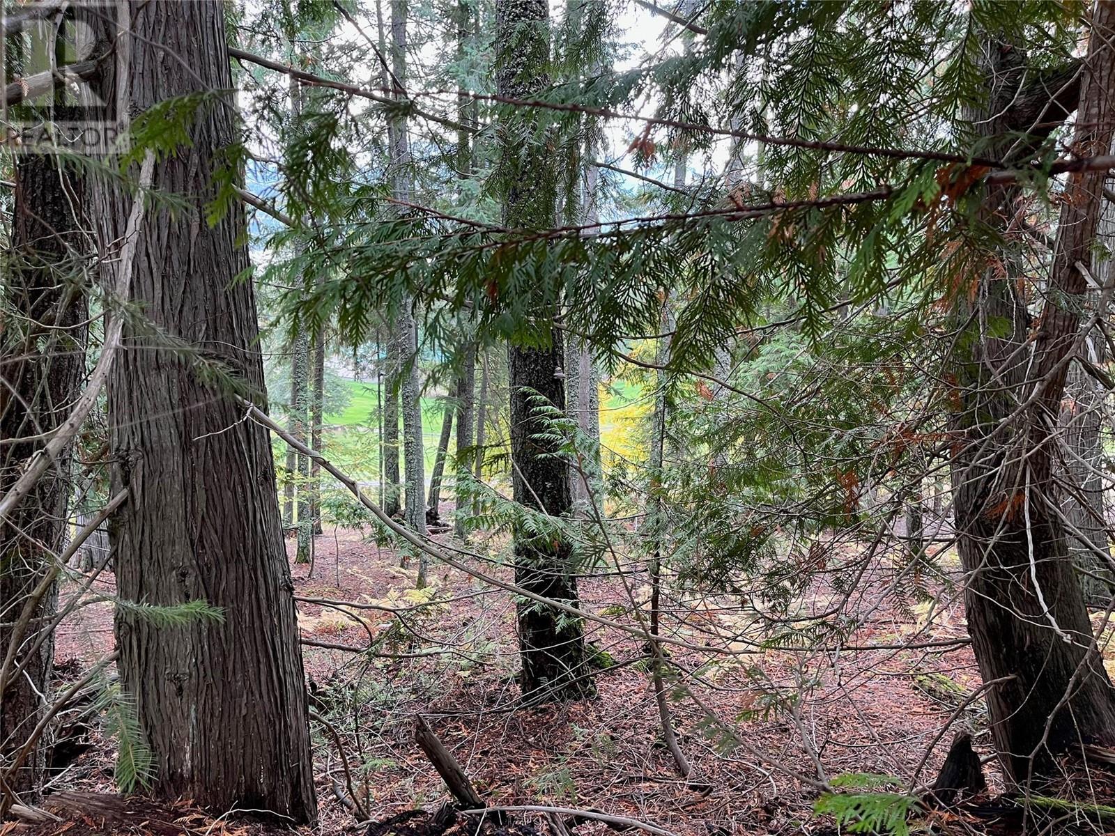 Lot 138 Columbia Drive Lot# 138, Anglemont, British Columbia  V0E 1M8 - Photo 13 - 10338061