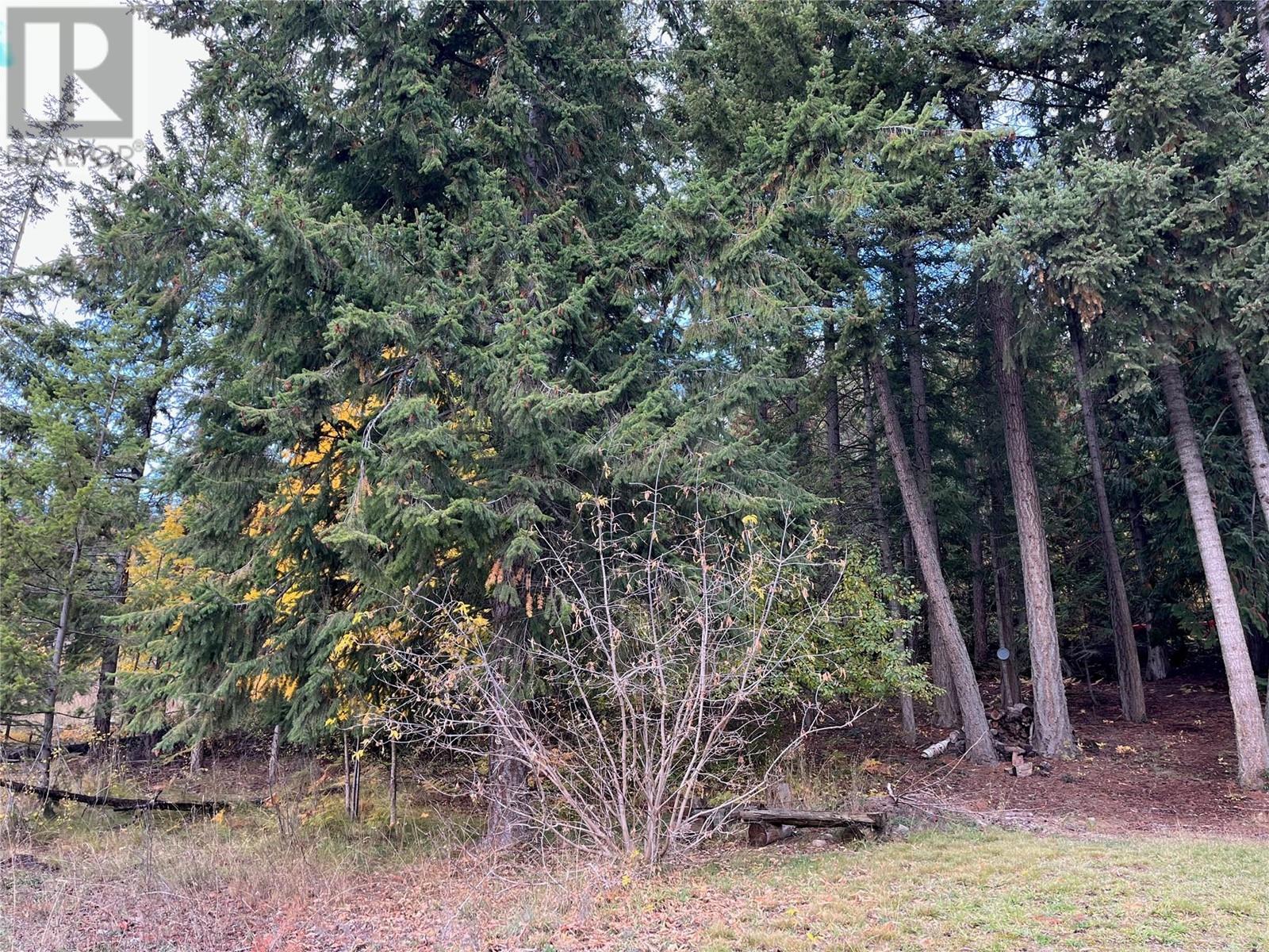 Lot 138 Columbia Drive Lot# 138, Anglemont, British Columbia  V0E 1M8 - Photo 19 - 10338061