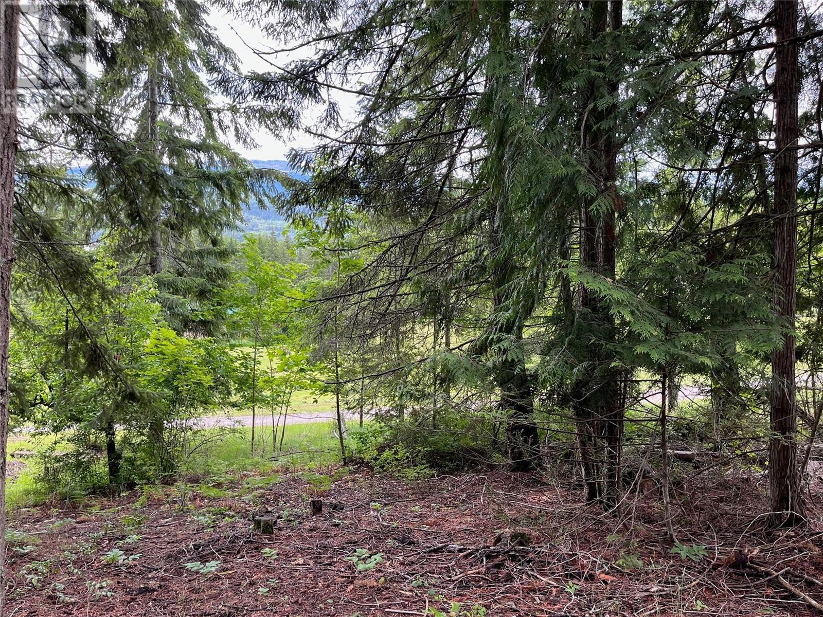 Lot 138 Columbia Drive Lot# 138, Anglemont, British Columbia  V0E 1M8 - Photo 8 - 10338061