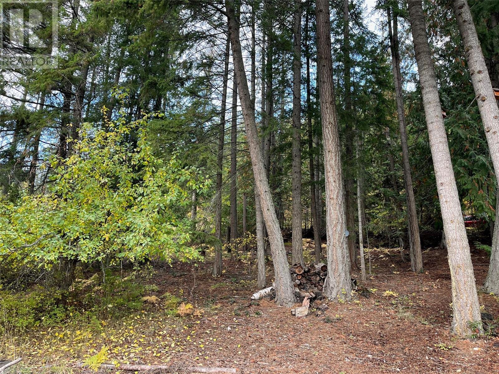 Lot 138 Columbia Drive Lot# 138, Anglemont, British Columbia  V0E 1M8 - Photo 18 - 10338061