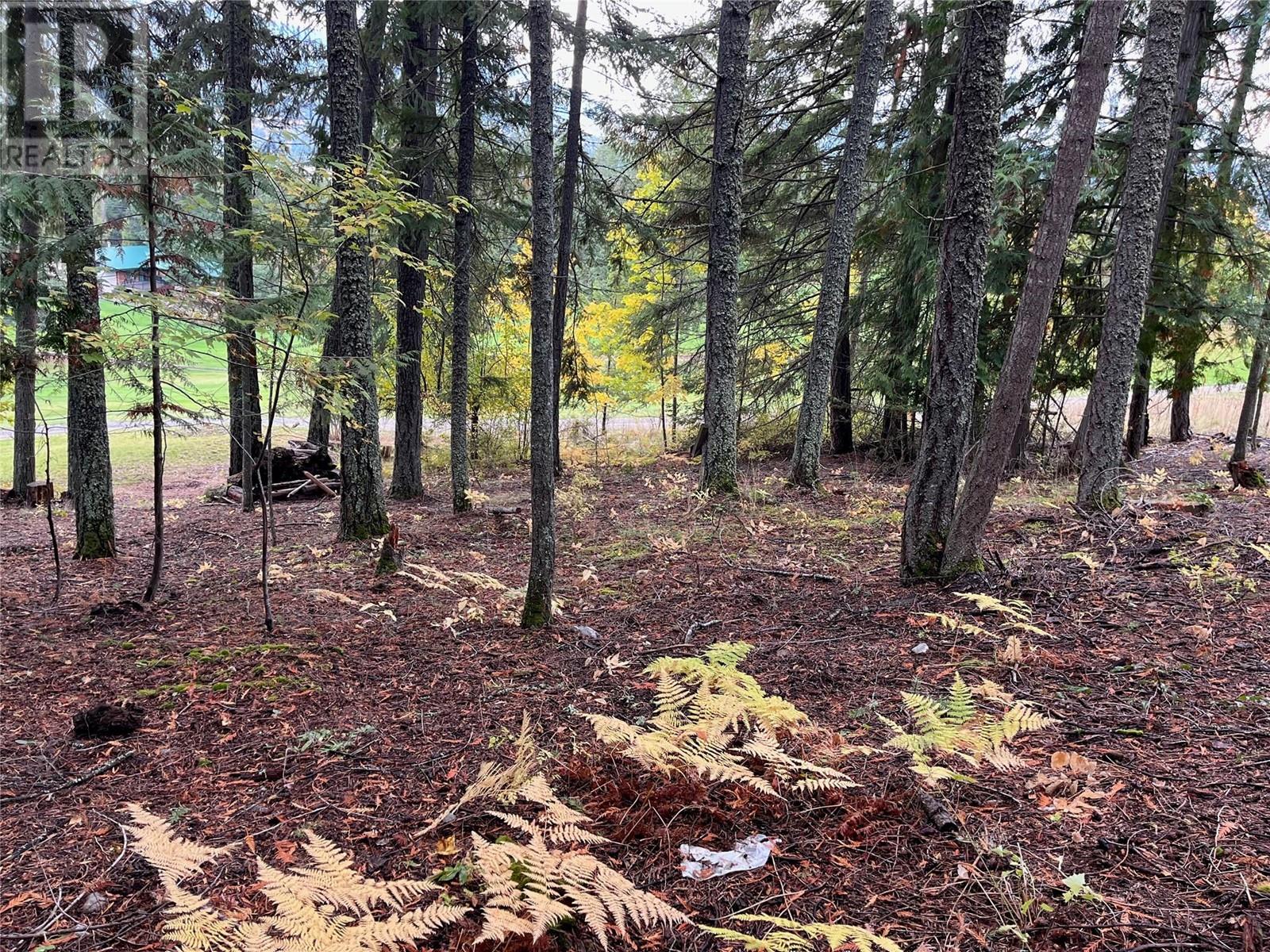Lot 138 Columbia Drive Lot# 138, Anglemont, British Columbia  V0E 1M8 - Photo 14 - 10338061