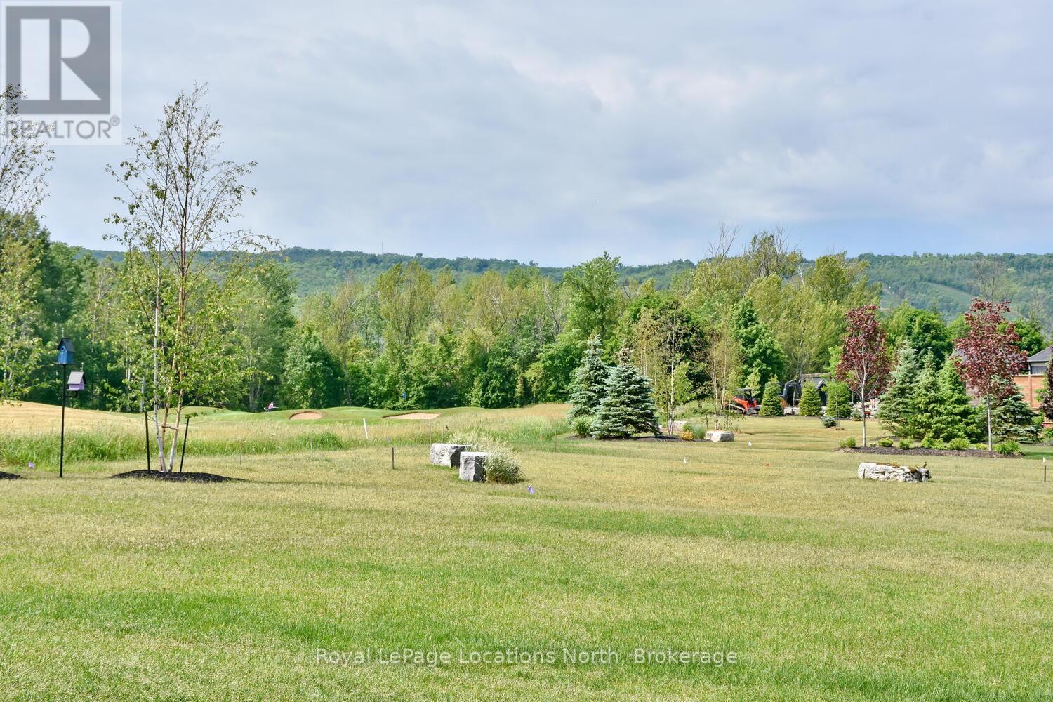 138 Crestview Court, Blue Mountains, Ontario  L9Y 0Z4 - Photo 46 - X12007138