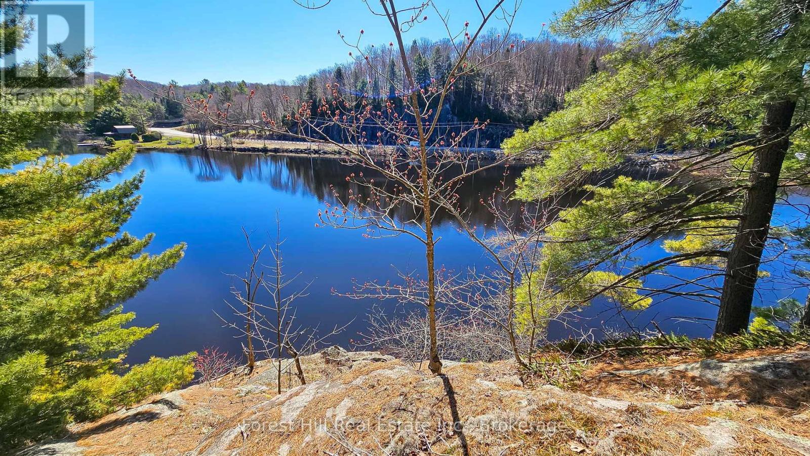 115 Longs Lake Road, Huntsville, Ontario  P0B 1M0 - Photo 8 - X12007788