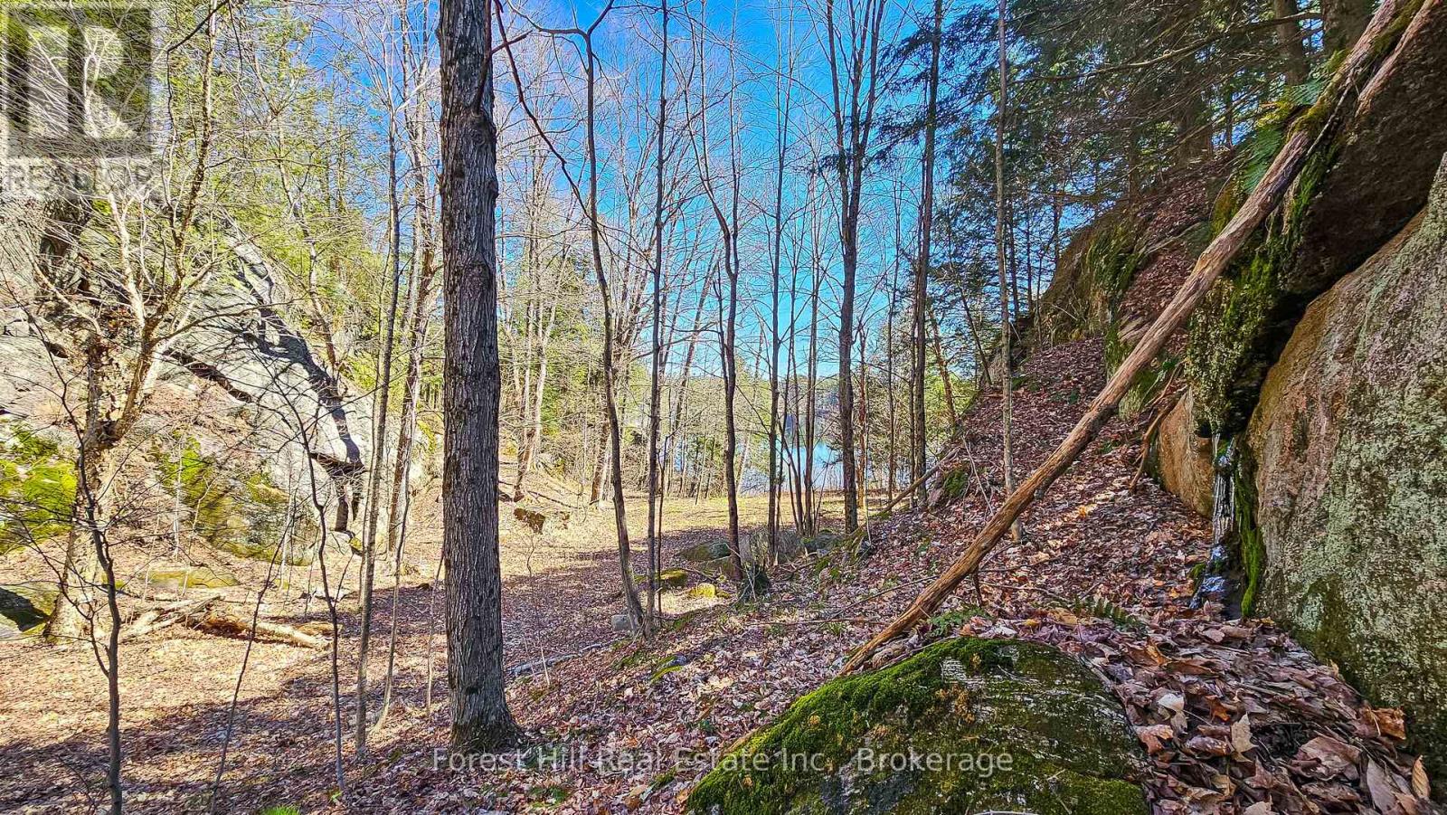 115 Longs Lake Road, Huntsville, Ontario  P0B 1M0 - Photo 9 - X12007788