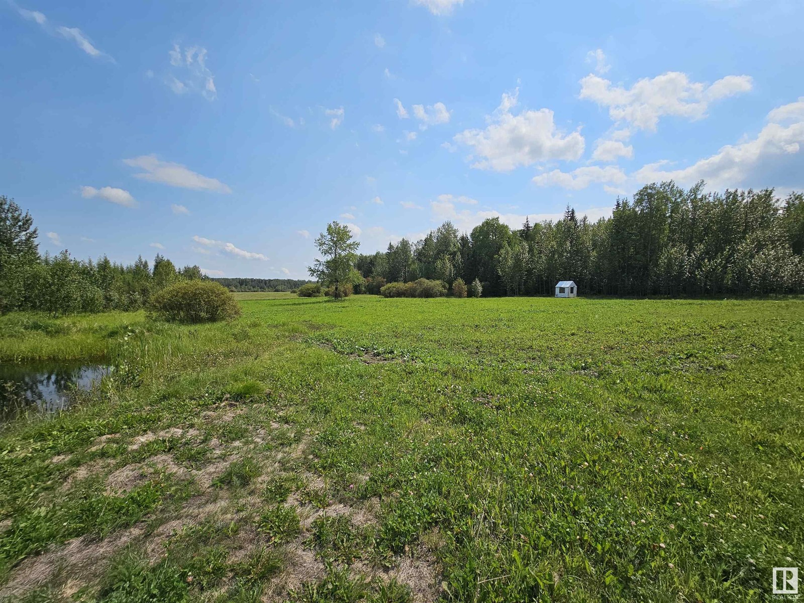 Ne 36-46-7-W5, Rural Wetaskiwin County, Alberta  T0C 0T0 - Photo 17 - E4424272