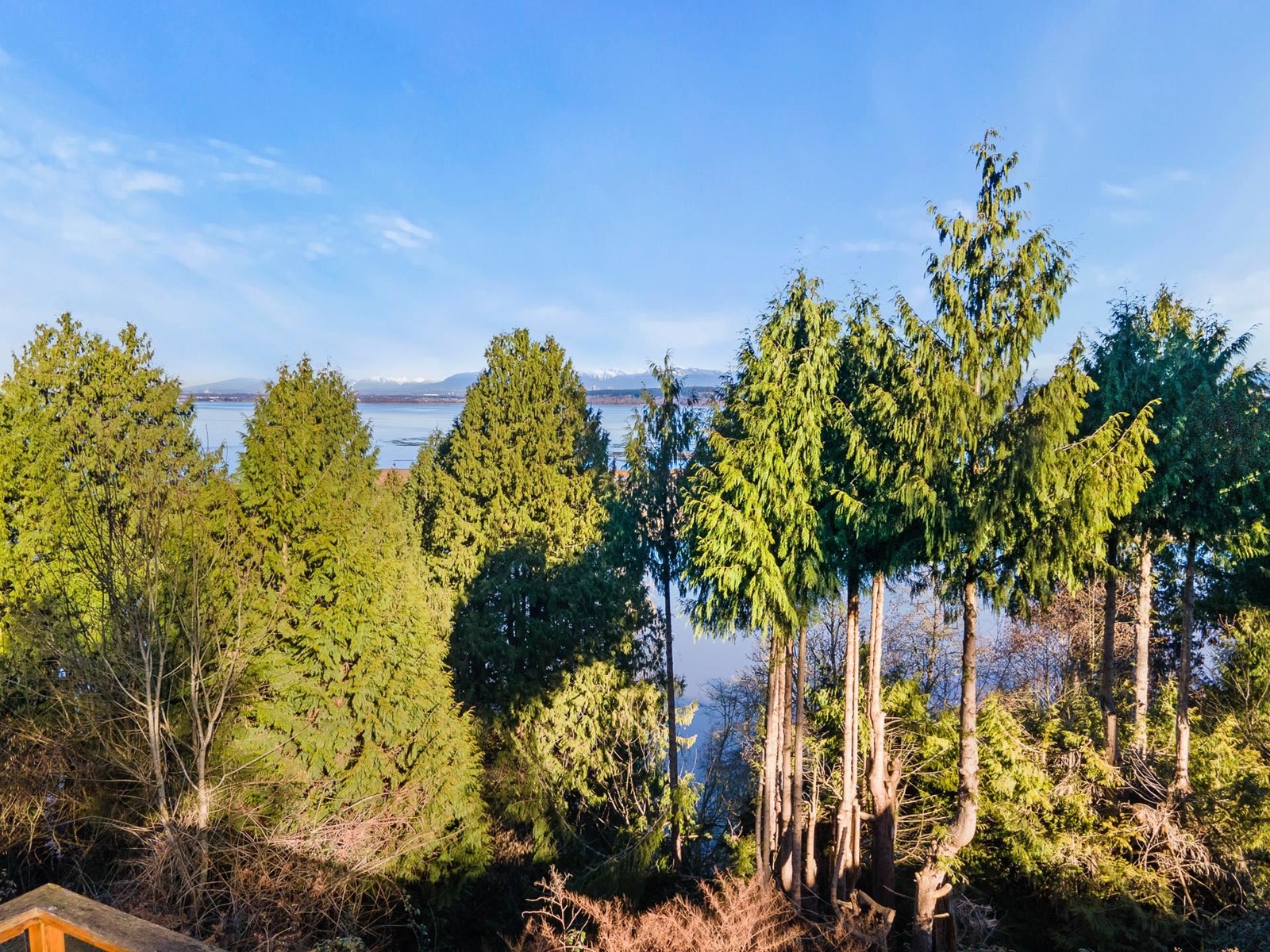 13021 Crescent Road, Surrey, British Columbia  V4P 1J6 - Photo 15 - R2974569