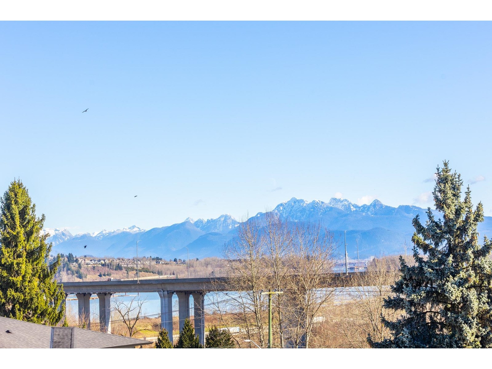 14705 Wellington Drive, Surrey, British Columbia  V3R 0A4 - Photo 34 - R2974393