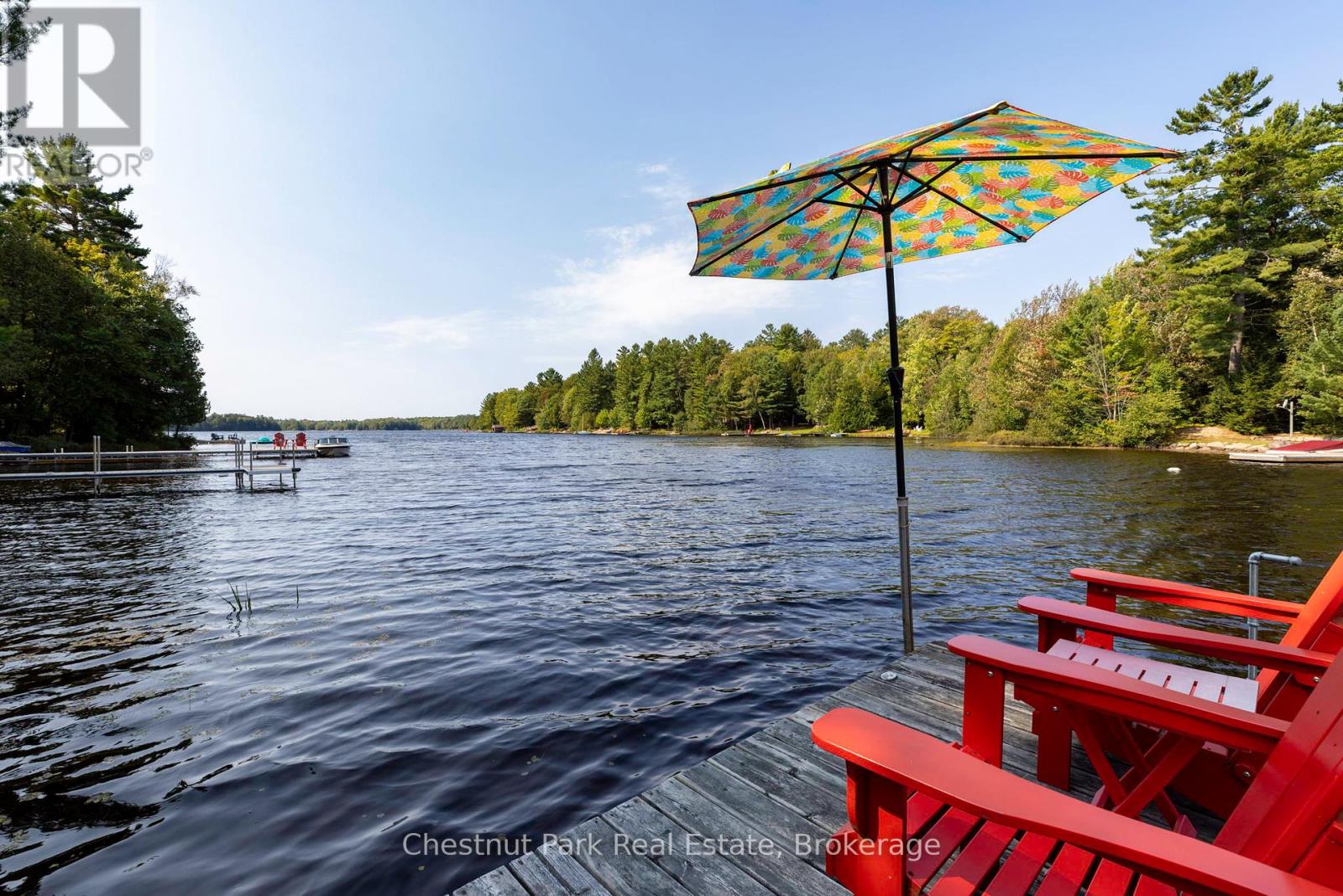 954 Dickie Lake Road, Lake Of Bays, Ontario  P0B 1A0 - Photo 36 - X12008165