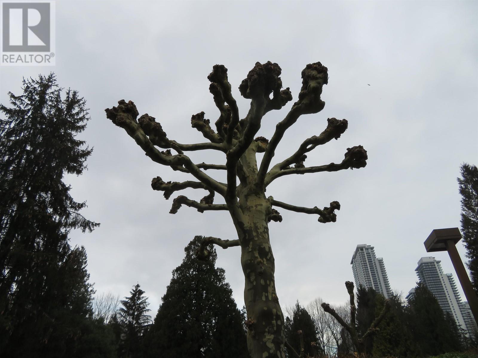 Listing Picture 18 of 18 : 4181 BRIDGEWATER CRESCENT, Burnaby / 本拿比 - 魯藝地產 Yvonne Lu Group - MLS Medallion Club Member