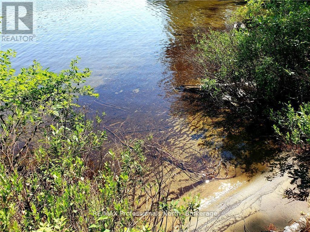 0 Bucktooth, Perry, Ontario  P0A 1J0 - Photo 29 - X12008358