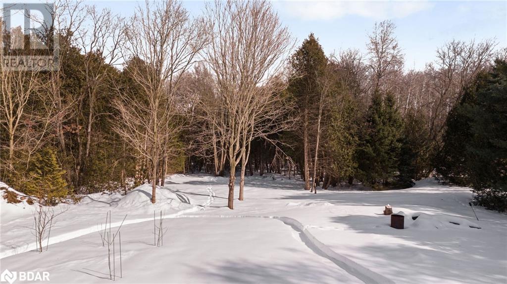 16245 7th Concession Road, King, Ontario  L7B 0E1 - Photo 36 - 40702719