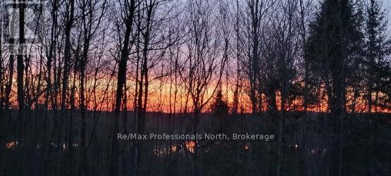 1145 Chelsea Lane, Algonquin Highlands (Stanhope), Ontario  K0M 1J1 - Photo 24 - X12008476