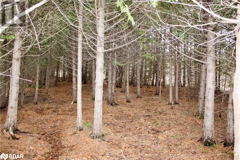 810 4th Line, Douro-Dummer, Ontario  K0L 3E0 - Photo 31 - 40645627