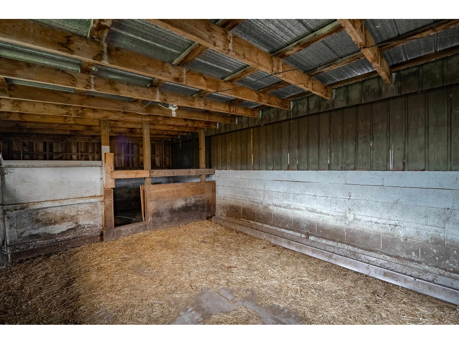 25141 19 Avenue, Langley, British Columbia  V4W 2E6 - Photo 39 - R2974861