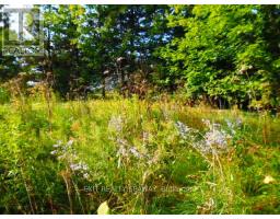 0 DALKEITH ROAD, North Glengarry, Ontario