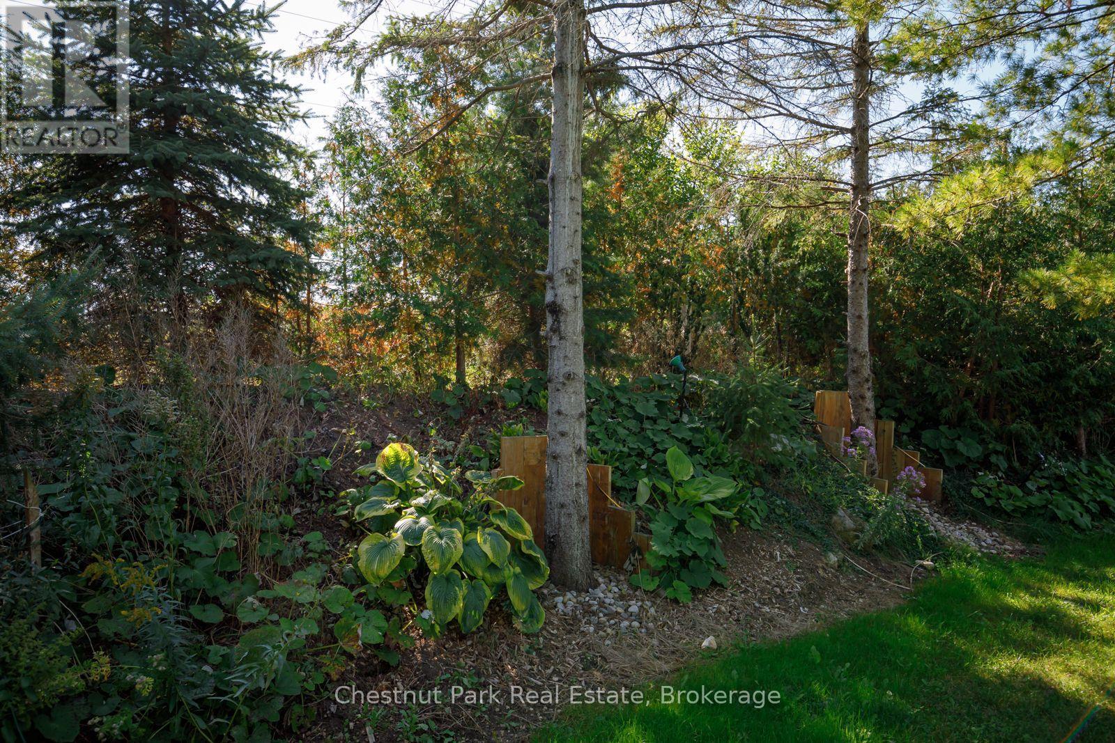 8610 Poplar Side Road, Clearview, Ontario  L9Y 3Y9 - Photo 48 - S12008858