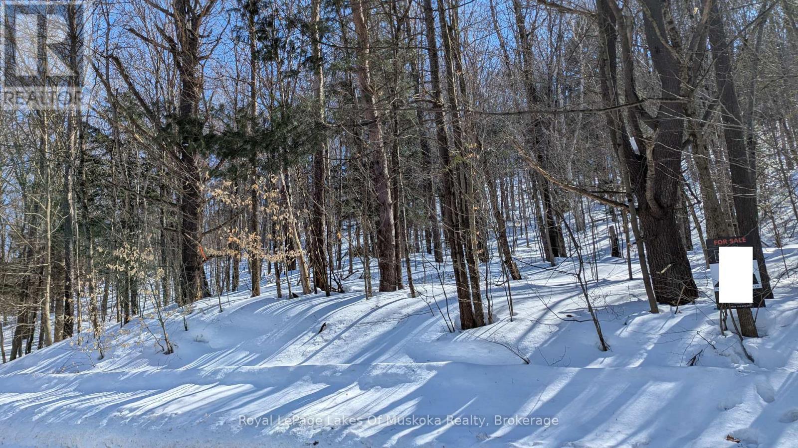 0 Rosseau Lake Rd 1, Muskoka Lakes, Ontario  P0B 1M0 - Photo 2 - X12005662