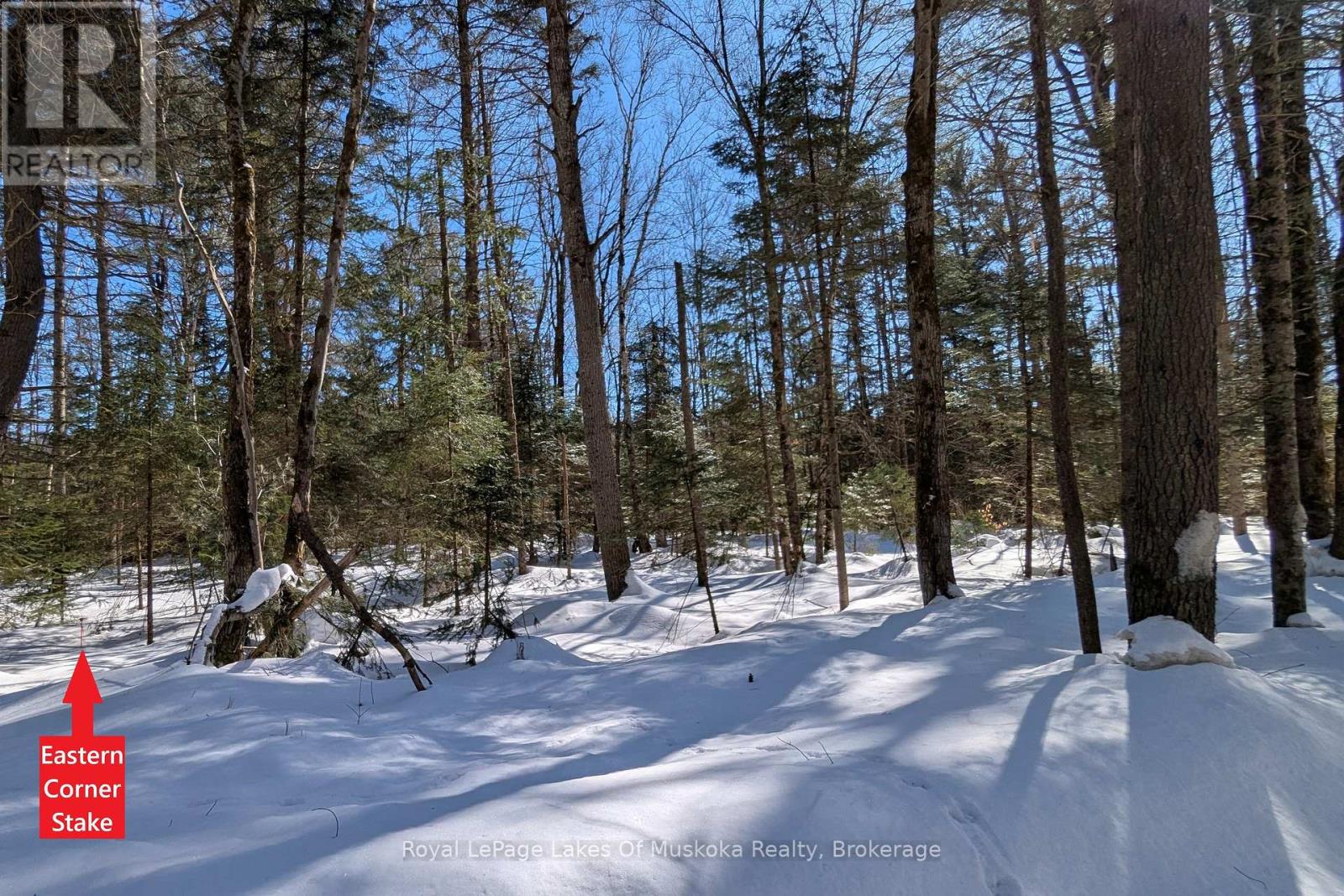 1023 Harmony Lane, Bracebridge, Ontario  P1L 1W9 - Photo 42 - X11998479