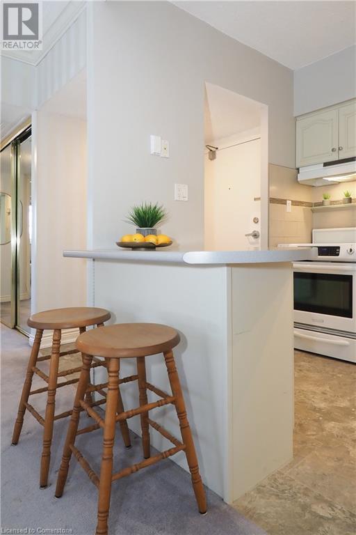 260 Sheldon Avenue N Unit# 103, Kitchener, Ontario  N2H 6P2 - Photo 17 - 40704791