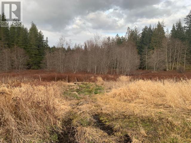 3569 Gillies Bay Rd Road, Texada Island, British Columbia  V0N 3K0 - Photo 14 - 18770