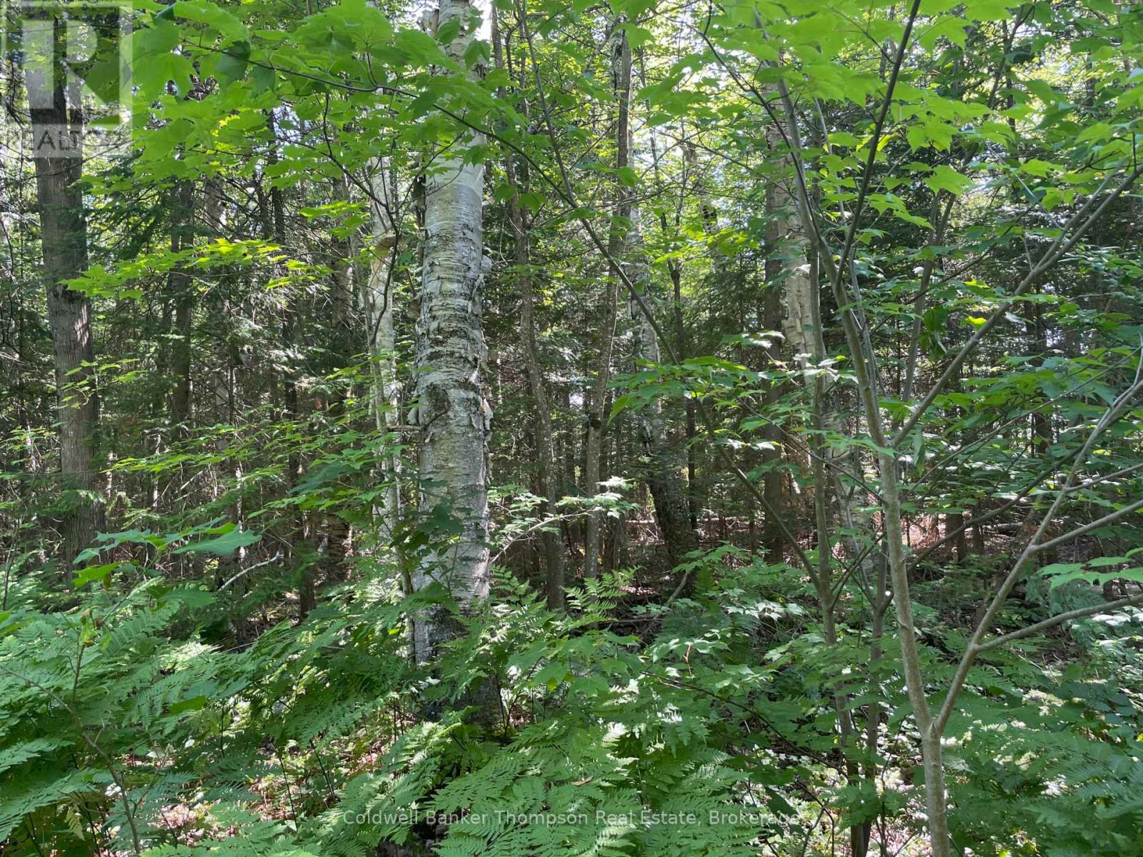 0 Hazard Hill #4 Road, Kearney, Ontario  P0A 1M0 - Photo 17 - X12008987