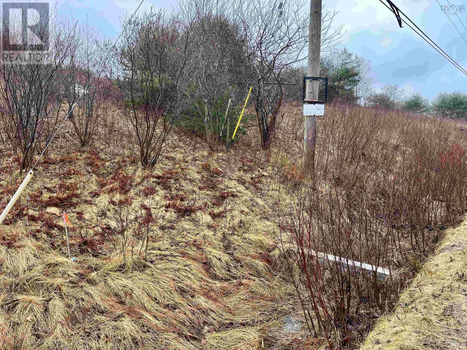 4 Acres Of 5440 Highway 325, Baker Settlement, Nova Scotia  B4V 7E9 - Photo 13 - 202504417
