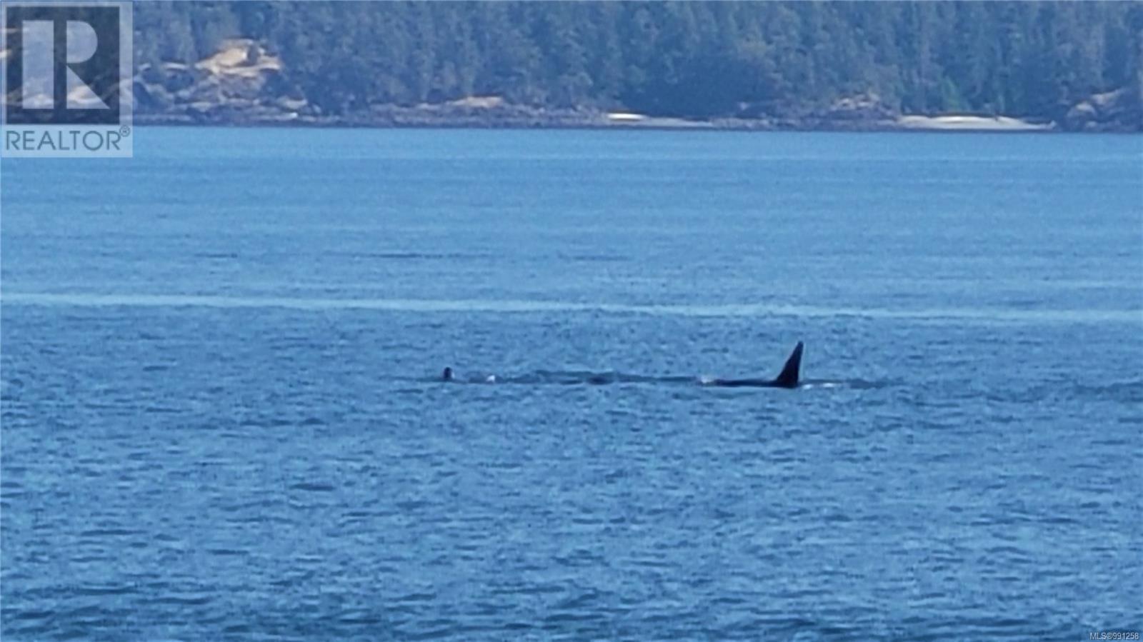 14 Spring Bay Rd, Lasqueti Island, British Columbia V0R 2J0 - Photo 10 - 991258