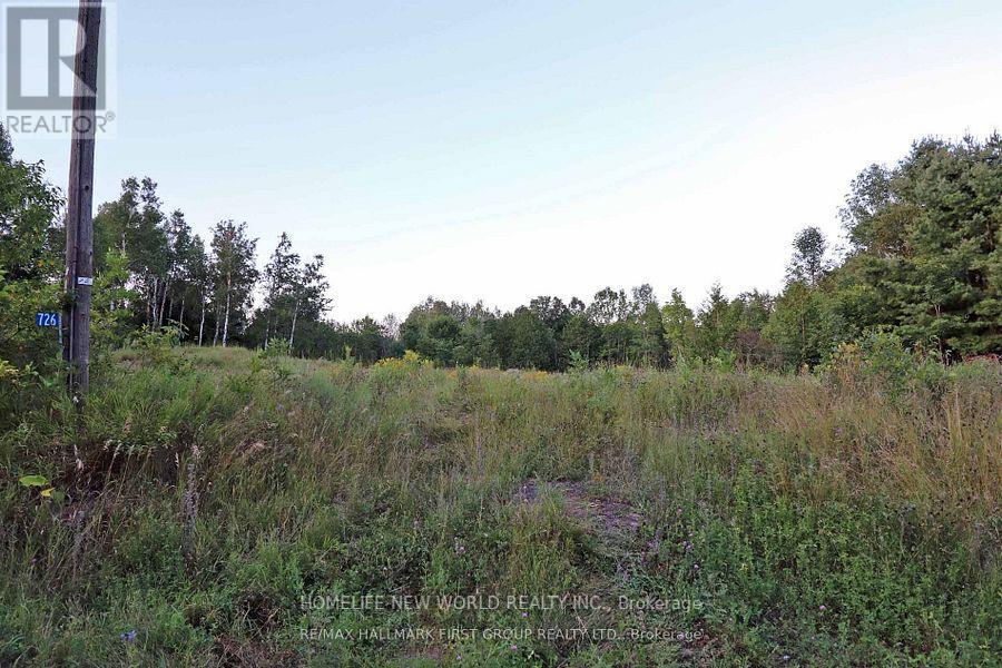 726 Otter Creek Road, Tweed (Hungerford (Twp)), Ontario  K0K 3J0 - Photo 6 - X12009075