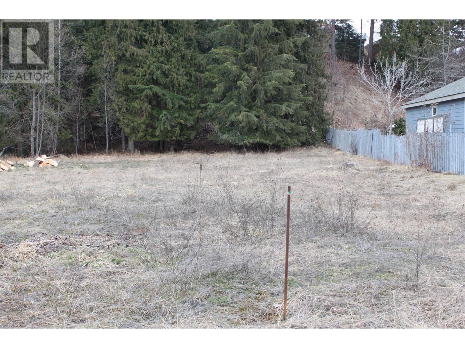 507 3a Avenue, Nakusp, British Columbia  V0G 1R0 - Photo 3 - 10337371