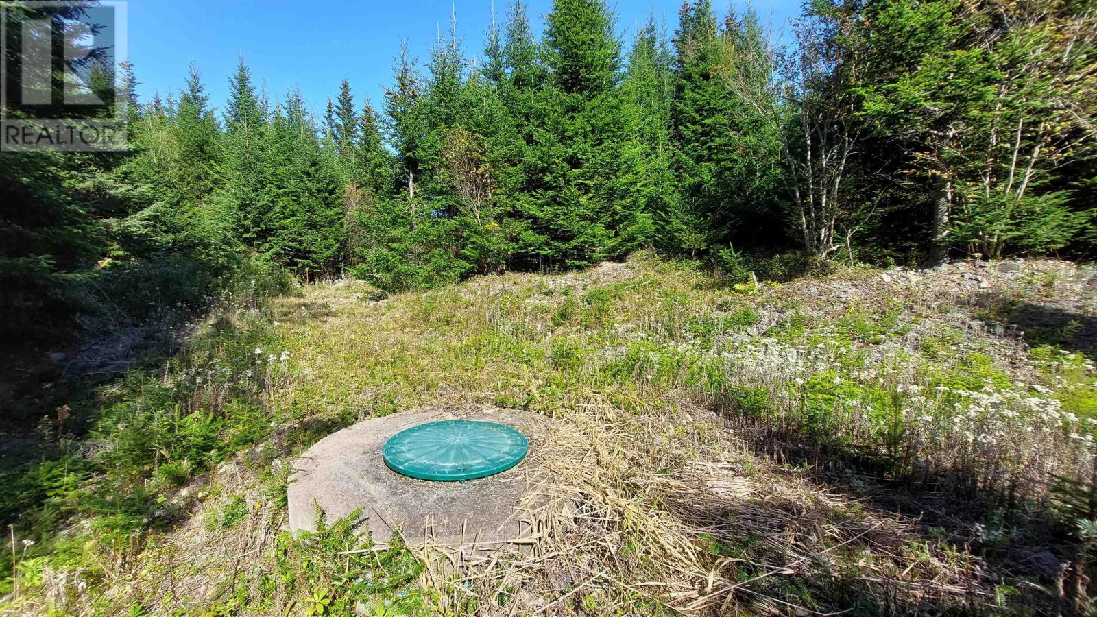 1914 St Peter's Fourchu Rd., Grand River, Nova Scotia  B0E 3B0 - Photo 19 - 202504488