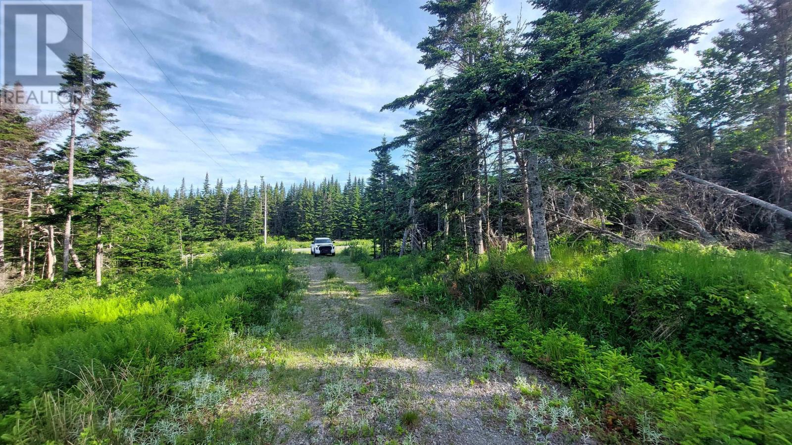 1914 St Peter's Fourchu Rd., Grand River, Nova Scotia  B0E 3B0 - Photo 21 - 202504488