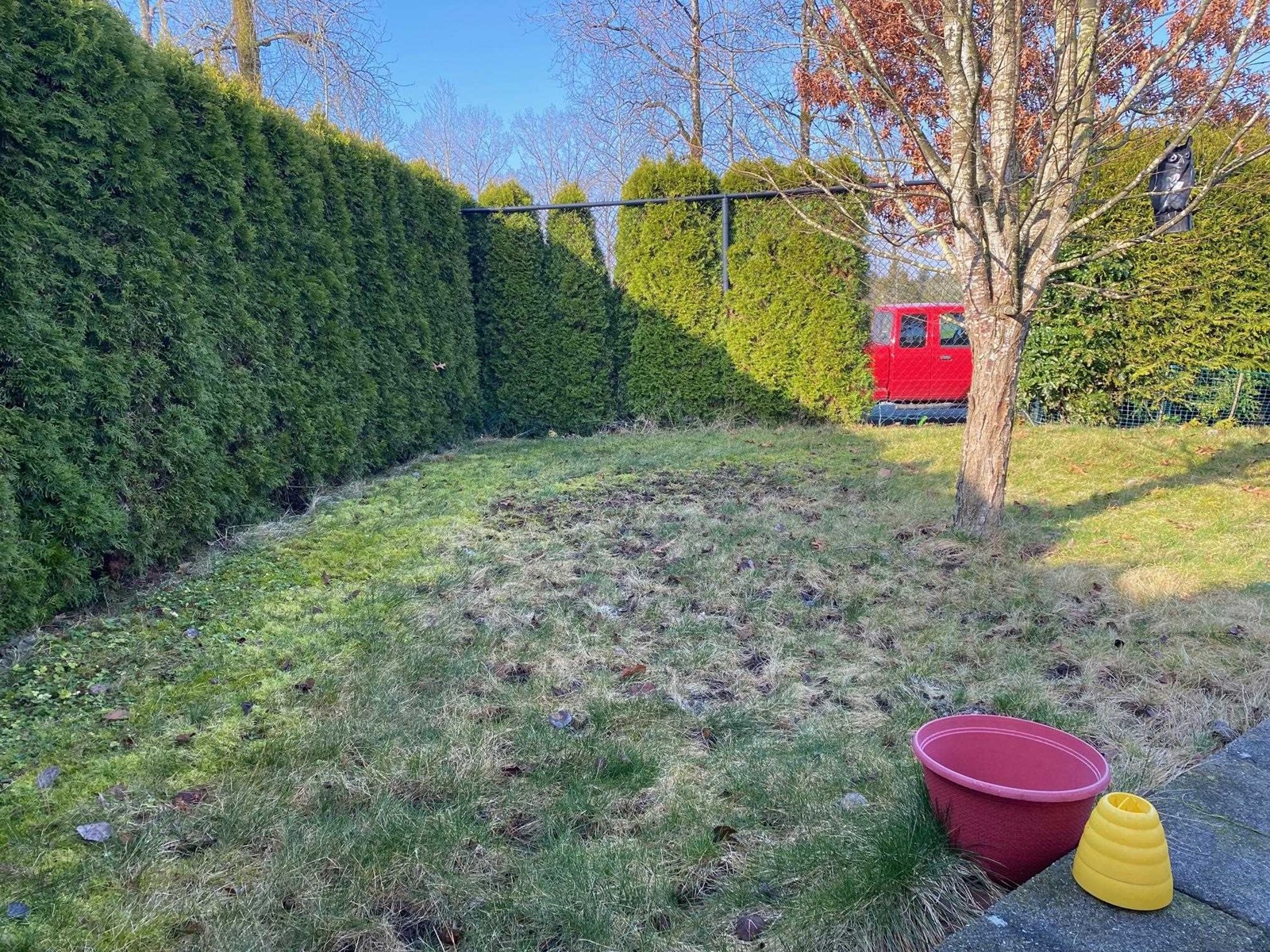Property at 126 8234 134 STREET image 3
