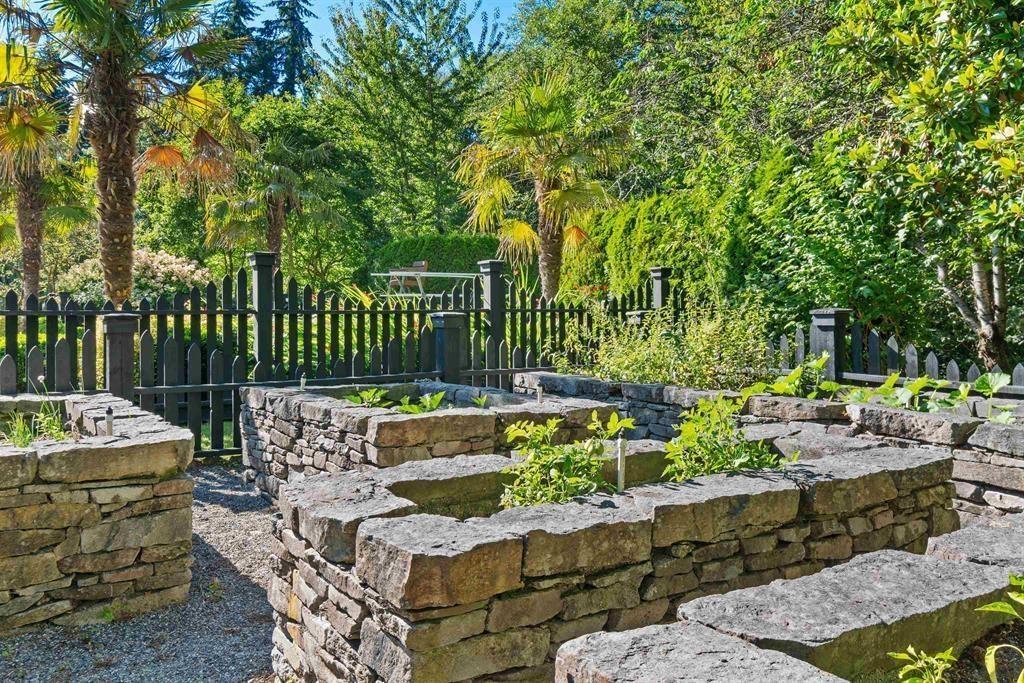 13685 30 Avenue, Surrey, British Columbia  V4P 1V3 - Photo 13 - R2975150