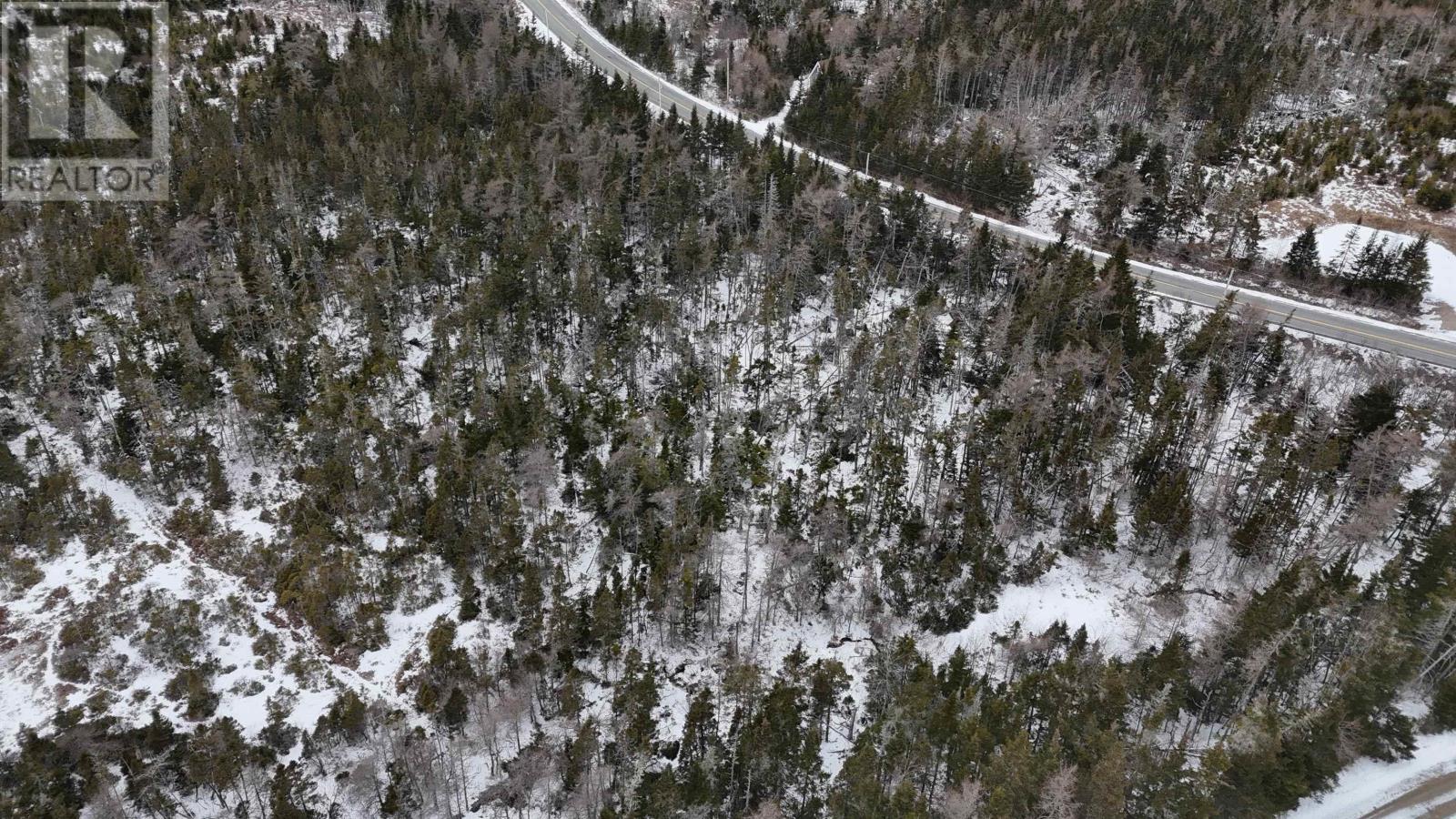 Lot 100 St Peters Fourchu Road, Framboise, Nova Scotia  B2J 1E1 - Photo 17 - 202504496