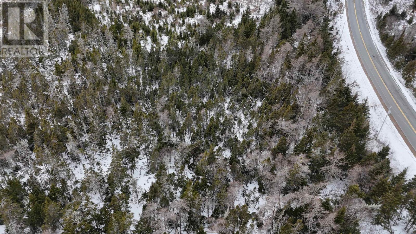 Lot 100 St Peters Fourchu Road, Framboise, Nova Scotia  B2J 1E1 - Photo 20 - 202504496