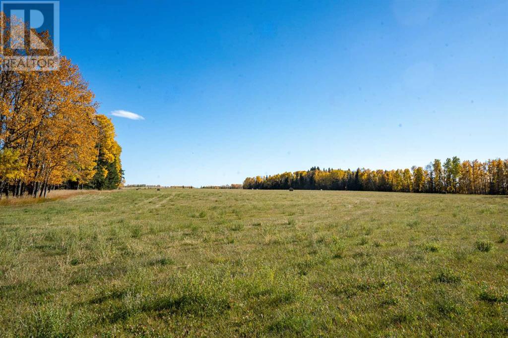 Rr 6-0 & Twnshp Rd 384, Rural Clearwater County, Alberta  T0M 0C0 - Photo 1 - A2192017