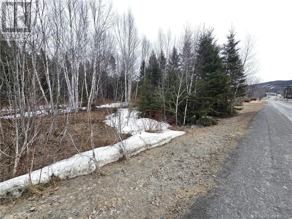 4e Avenue, Clair, New Brunswick  E7A 2B2 - Photo 10 - NB113604