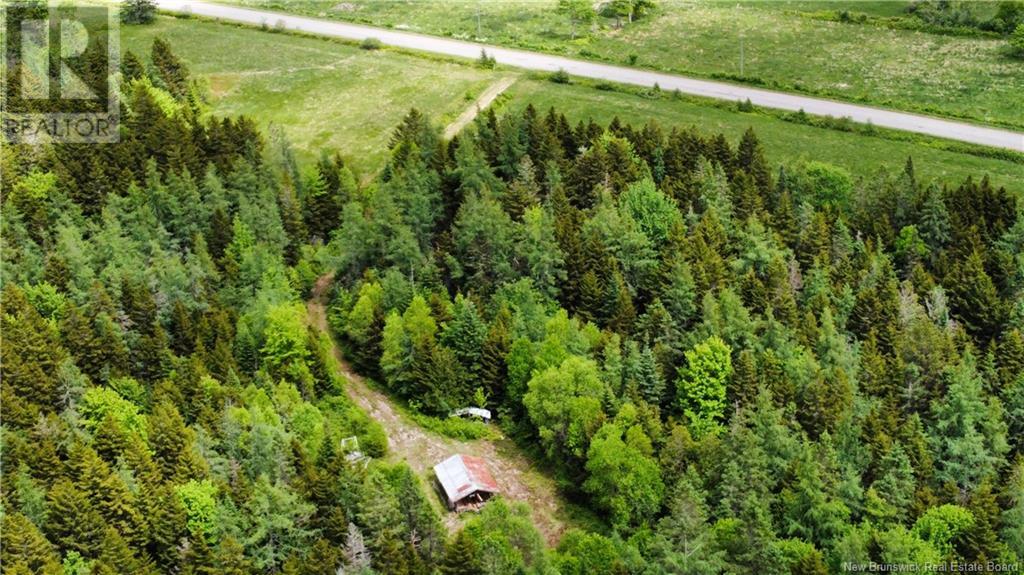 76 Hill Road, Kingston, New Brunswick  E5N 1H4 - Photo 13 - NB113691