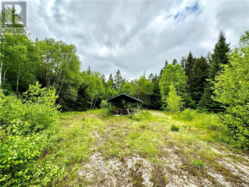 76 Hill Road, Kingston, New Brunswick  E5N 1H4 - Photo 21 - NB113691