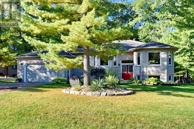 Property at 4 PAULINE PLACE image 1