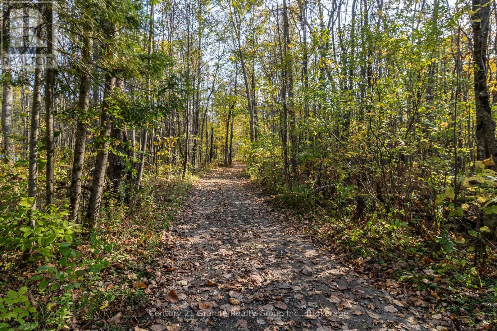 1076 Providence Drive, Algonquin Highlands, Ontario  K0M 1S0 - Photo 49 - X12009712