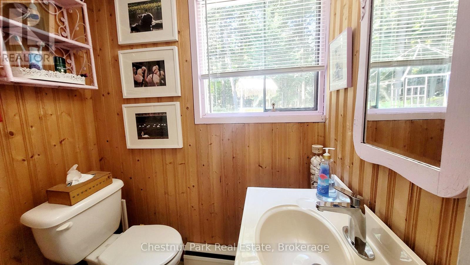 254 Bigwin Island, Lake Of Bays, Ontario  P0B 1A0 - Photo 21 - X12009855