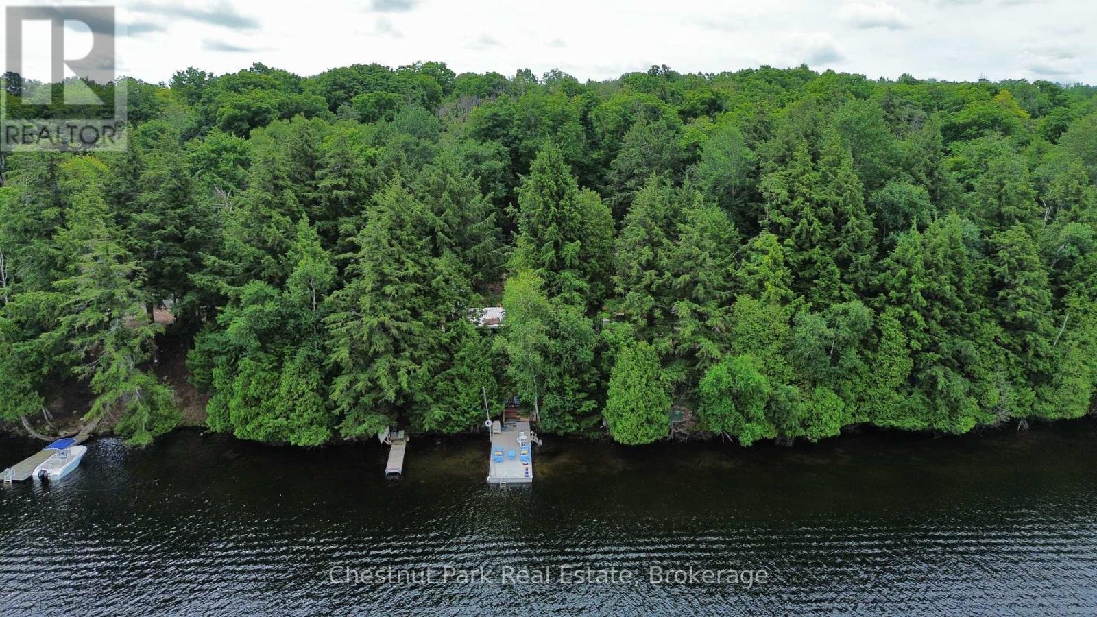 254 Bigwin Island, Lake Of Bays, Ontario  P0B 1A0 - Photo 31 - X12009855
