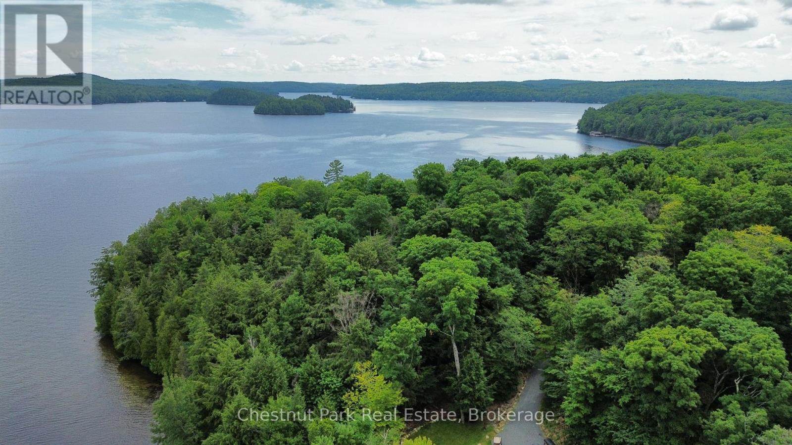 254 Bigwin Island, Lake Of Bays, Ontario  P0B 1A0 - Photo 33 - X12009855